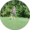 Ted Ackert Avatar